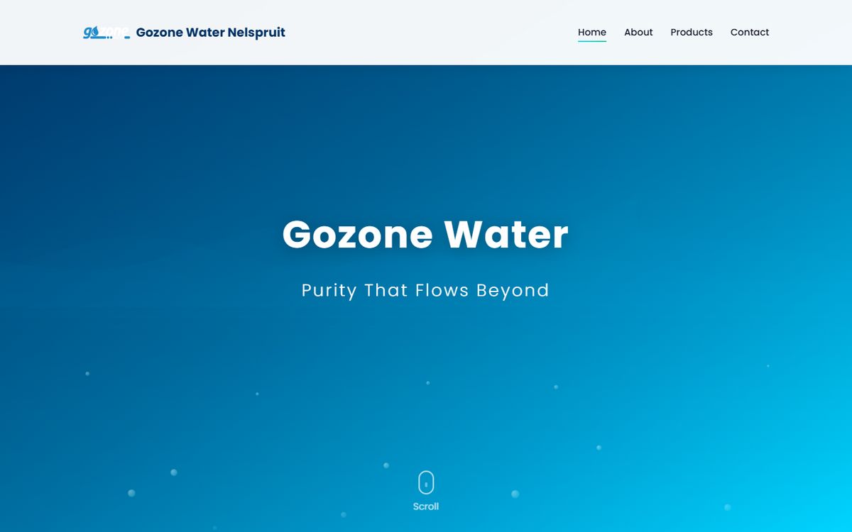 Gozone Water Nelspruit website on desktop
